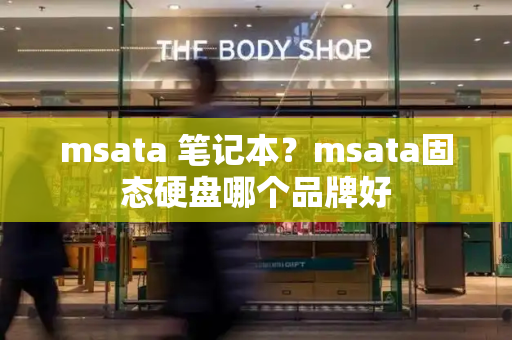 msata 笔记本？msata固态硬盘哪个品牌好