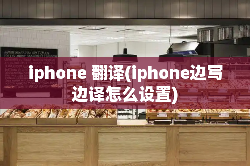 iphone 翻译(iphone边写边译怎么设置)