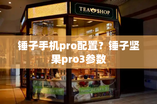 锤子手机pro配置？锤子坚果pro3参数-第1张图片-星选测评