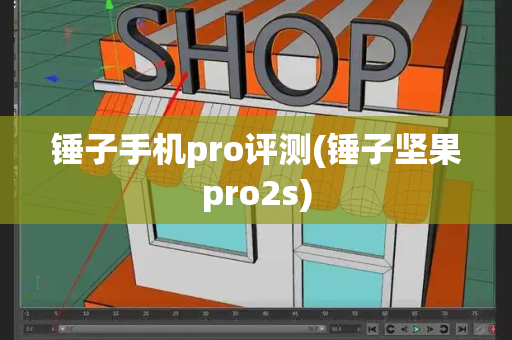 锤子手机pro评测(锤子坚果pro2s)