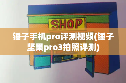 锤子手机pro评测视频(锤子坚果pro3拍照评测)