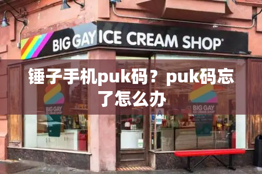 锤子手机puk码？puk码忘了怎么办-第1张图片-星选测评