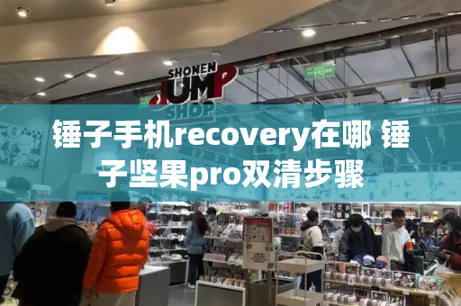 锤子手机recovery在哪 锤子坚果pro双清步骤-第1张图片-星选测评