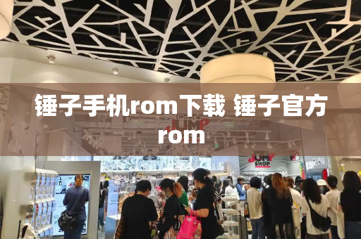 锤子手机rom下载 锤子官方rom