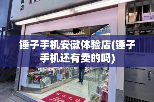 锤子手机安徽体验店(锤子手机还有卖的吗)