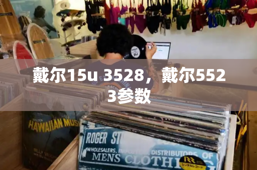 戴尔15u 3528，戴尔5523参数