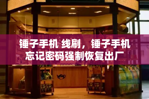 锤子手机 线刷，锤子手机忘记密码强制恢复出厂-第1张图片-星选测评
