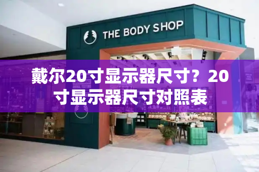 戴尔20寸显示器尺寸？20寸显示器尺寸对照表-第1张图片-星选值得买