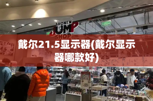 戴尔21.5显示器(戴尔显示器哪款好)