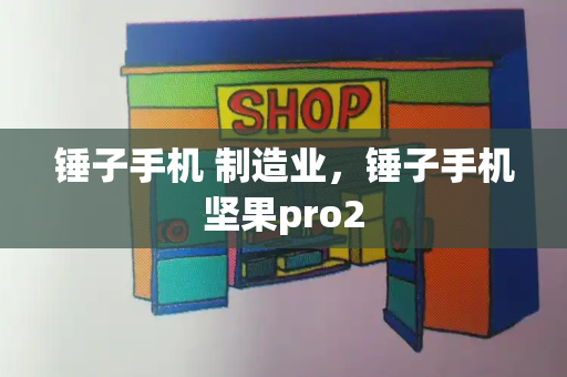 锤子手机 制造业，锤子手机坚果pro2