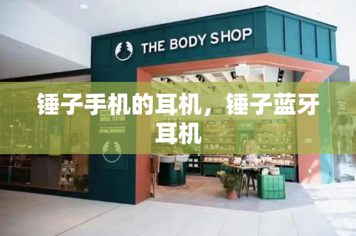 锤子手机的耳机，锤子蓝牙耳机-第1张图片-星选测评