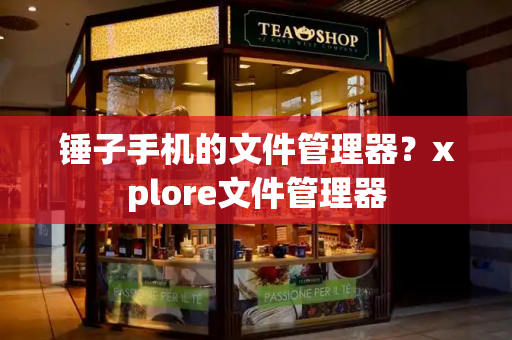 锤子手机的文件管理器？xplore文件管理器