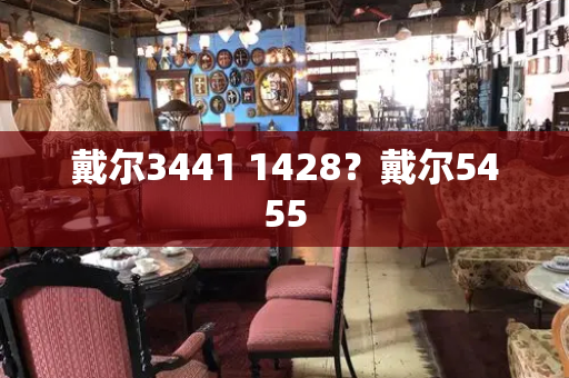 戴尔3441 1428？戴尔5455