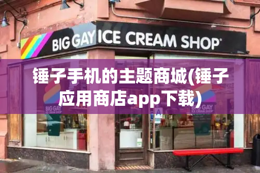 锤子手机的主题商城(锤子应用商店app下载)