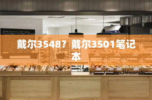 戴尔3548？戴尔3501笔记本