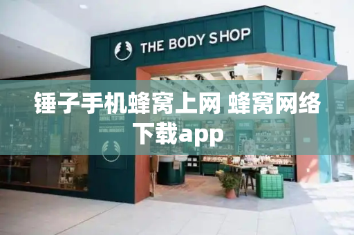 锤子手机蜂窝上网 蜂窝网络下载app