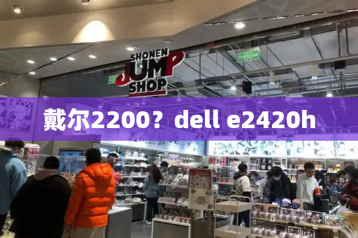 戴尔2200？dell e2420h