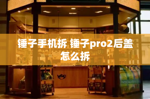 锤子手机拆 锤子pro2后盖怎么拆-第1张图片-星选测评