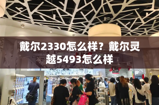 戴尔2330怎么样？戴尔灵越5493怎么样