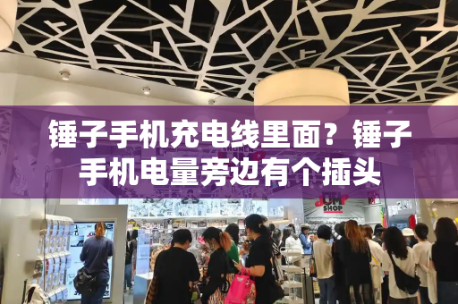 锤子手机充电线里面？锤子手机电量旁边有个插头-第1张图片-星选测评