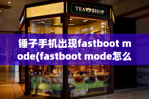 锤子手机出现fastboot mode(fastboot mode怎么办)-第1张图片-星选测评