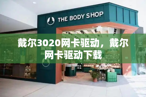 戴尔3020网卡驱动，戴尔网卡驱动下载