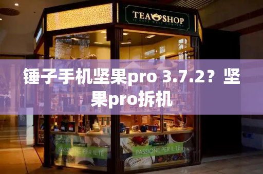 锤子手机坚果pro 3.7.2？坚果pro拆机-第1张图片-星选测评