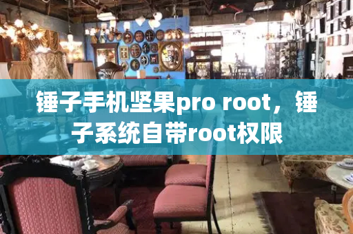 锤子手机坚果pro root，锤子系统自带root权限