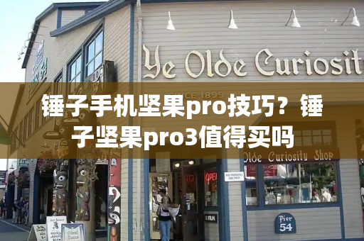 锤子手机坚果pro技巧？锤子坚果pro3值得买吗