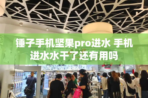 锤子手机坚果pro进水 手机进水水干了还有用吗