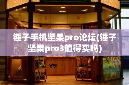 锤子手机坚果pro论坛(锤子坚果pro3值得买吗)-第1张图片-星选测评