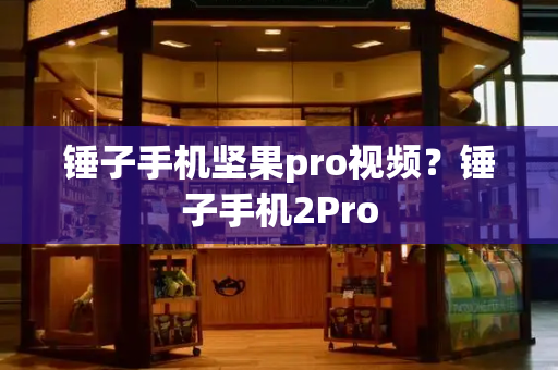 锤子手机坚果pro视频？锤子手机2Pro-第1张图片-星选测评