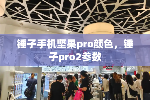 锤子手机坚果pro颜色，锤子pro2参数