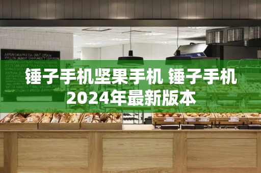 锤子手机坚果手机 锤子手机2024年最新版本