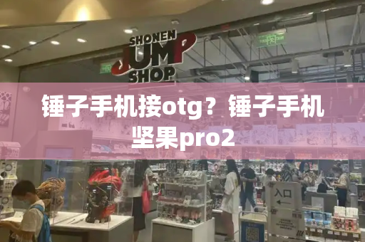 锤子手机接otg？锤子手机坚果pro2-第1张图片-星选测评