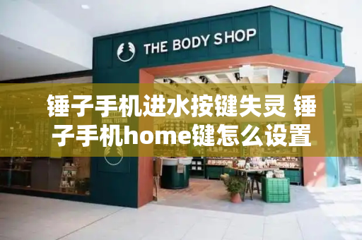 锤子手机进水按键失灵 锤子手机home键怎么设置-第1张图片-星选测评