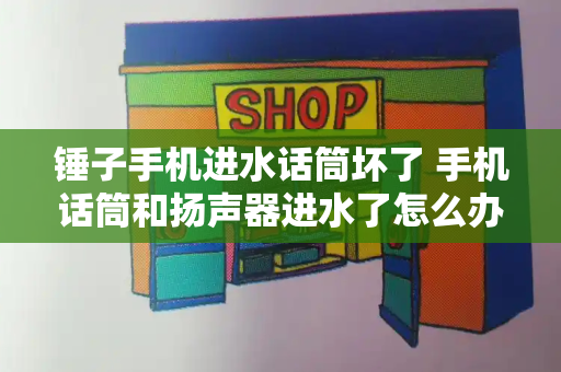 锤子手机进水话筒坏了 手机话筒和扬声器进水了怎么办-第1张图片-星选测评