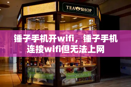 锤子手机开wifi，锤子手机连接wifi但无法上网