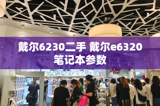 戴尔6230二手 戴尔e6320笔记本参数-第1张图片-星选值得买