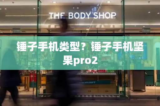 锤子手机类型？锤子手机坚果pro2