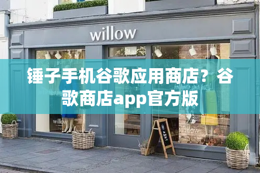 锤子手机谷歌应用商店？谷歌商店app官方版-第1张图片-星选测评