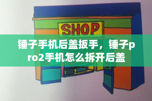 锤子手机后盖扳手，锤子pro2手机怎么拆开后盖-第1张图片-星选测评