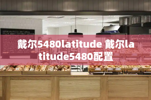 戴尔5480latitude 戴尔latitude5480配置