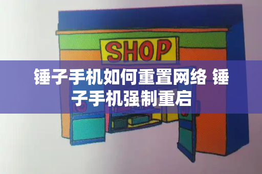 锤子手机如何重置网络 锤子手机强制重启