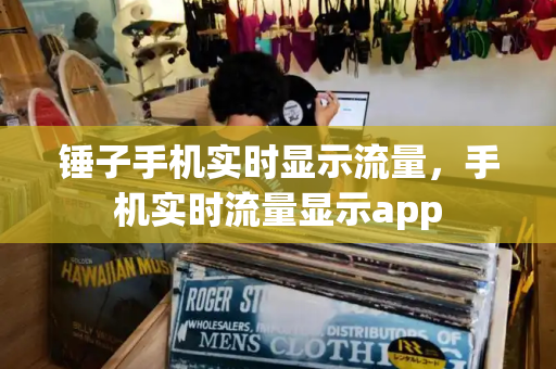 锤子手机实时显示流量，手机实时流量显示app