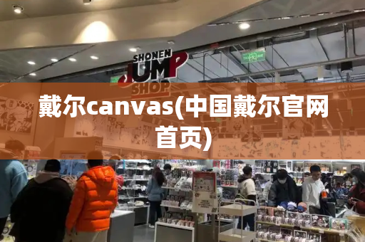 戴尔canvas(中国戴尔官网首页)-第1张图片-星选值得买