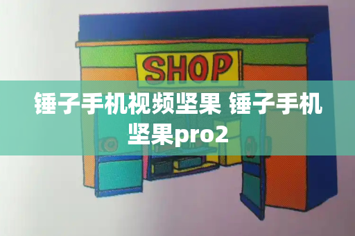 锤子手机视频坚果 锤子手机坚果pro2-第1张图片-星选测评