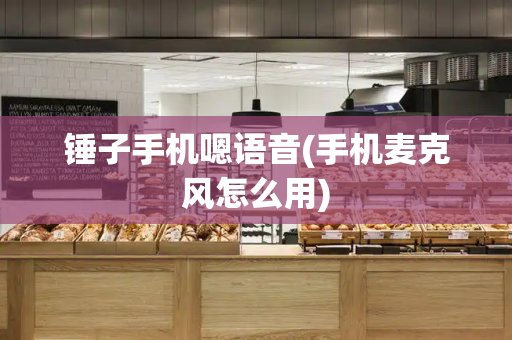 锤子手机嗯语音(手机麦克风怎么用)