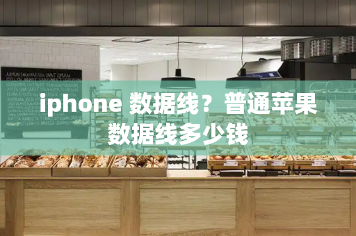 iphone 数据线？普通苹果数据线多少钱-第1张图片-星选测评