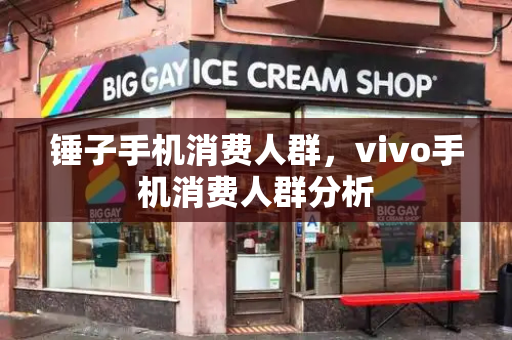 锤子手机消费人群，vivo手机消费人群分析